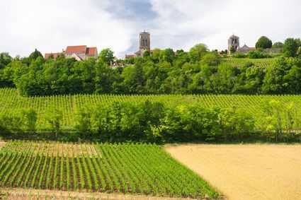 Entdecken Sie die Weinberge im Burgund.